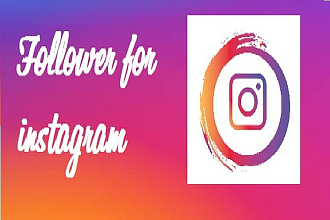 Подписчики в Instagram
