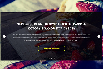 Создам вам сайт на тильде