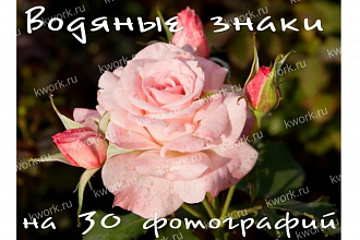 Размещу водяные надписи на 30 фотографиях