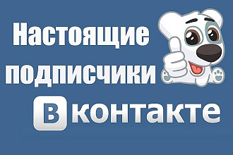Подписчики в ВК
