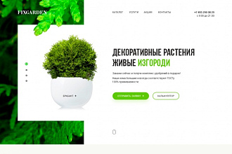 Профессиональный дизайн сайтов
