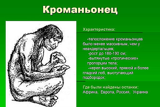 Сделаю Презентацию в Power Point