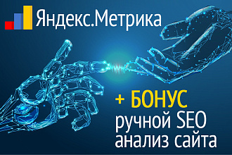 Качественная установка и настрйока Яндекс метрики и бонус SEO анализ