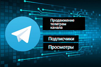 Продвижение телеграм канала. Подписчики,просмотры