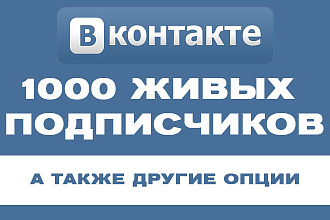 1000 живых подписчиков ВК