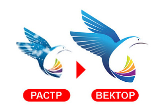 Перевод растрового изображения в вектор