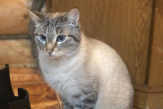 Ссылки с форумов о животных и природе - профили