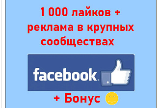 1000 лайков и размещение в крупных активных сообществах Facebook