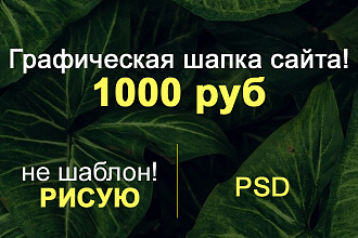 Нарисую шапку для сайта. не шаблон. реально рисую