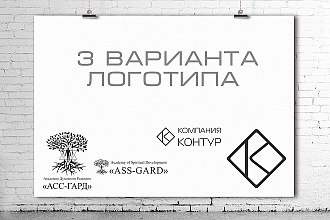 3 Варианта логотипа