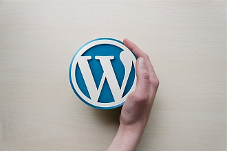 Разработка сайта на Word Press