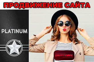 Продвижение сайта 1 запрос с соц. постами, статьи и ссылки