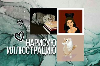 Нарисую качественную иллюстрацию