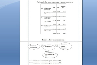 Обработка данных в SPSS с описанием
