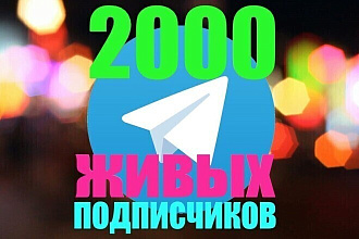 2000 живых подписчиков на ваш канал