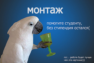 Редактирование + монтаж видео