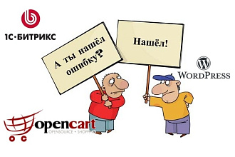 Исправление ошибок на WordPress, Bitrix, OpenCart