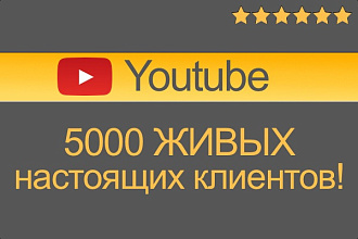 Приведу Трафик из официальной рекламы на youtube