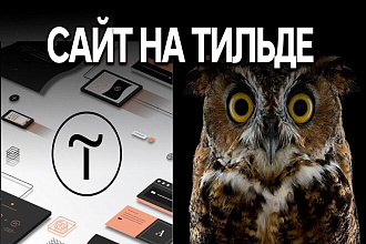 Создам сайт на Тильде