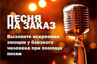Песня-переделка на заказ от профессионала