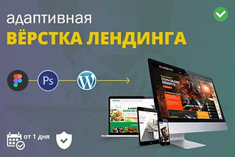 Вёрстка лендинга - из PSD или Figma, на WordPress, за 1 блок