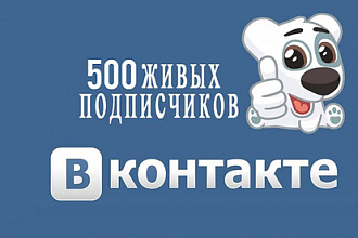 Добавлю 500 подписчиков или 500 лайков