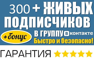300 живых подписчиков для паблика VK
