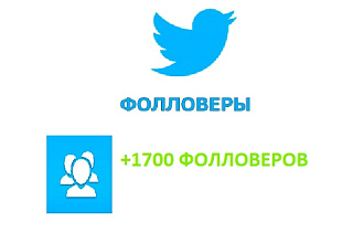 +1700 подписчиков в Ваш аккаунт Twitter