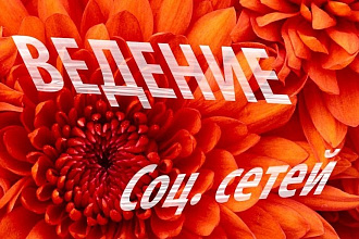 Поиск и создание контента