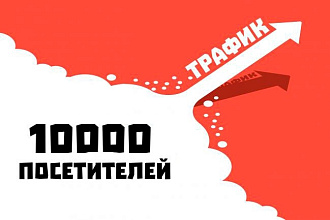 10000 уникальных посещений из поисковых систем на Ваш сайт