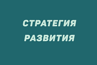Создание маркетинговой стратегии по развитию в соцсетях
