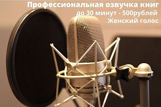 Профессиональная озвучка книг 30 минут - 500р