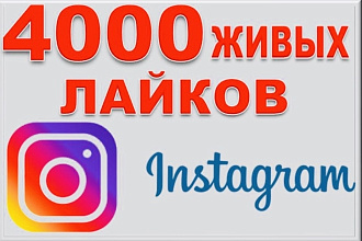 4000 живых лайков в instagram