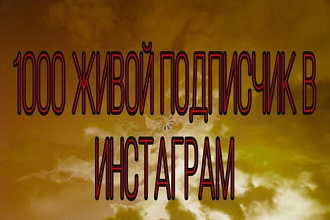 1000 живой подписчик в Инстаграм