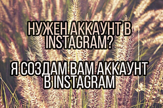Я создам тебе аккаунт в Instagram