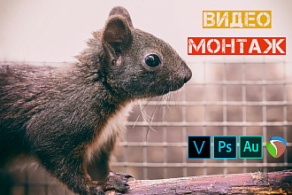 Монтаж и обработка видео