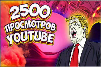 2500 реальных просмотров, с гарантией от реальных людей