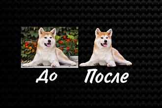 Удаление фона изображений любой сложности