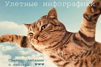 Делаю полезные и оригинальные инфографики