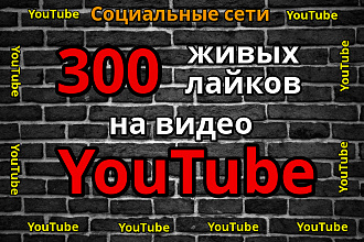 300 Лайков на видео YouTube Реальных людей