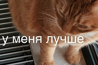 Отредактирую текст, максимально дешево