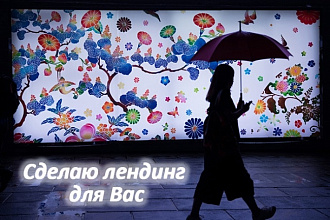 Сделаю Лендинг на конструкторе
