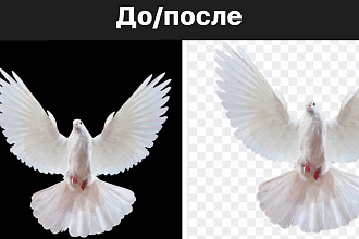 Удалю фон с любой фотографии