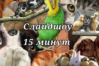 Слайдшоу на заказ