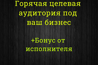 Горячая целевая аудитория под Ваш бизнес