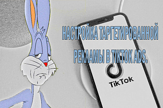Настройка таргетированной рекламы в TikTok ads