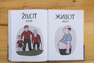 Качественный перевод с русского языка на чешский