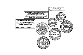 Разработаю макет печати, штампа