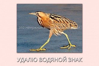 Удалю водяной знак с фото