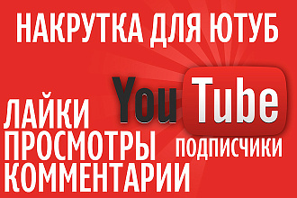 2500 реальных просмотров на ваше видео в YouTube